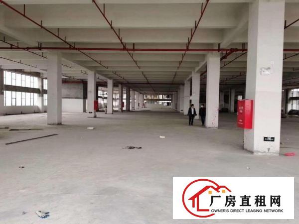  黄江镇星光村新出大型工业园75000平方厂房出租