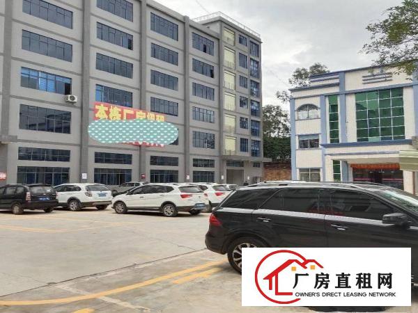  黄江镇独院分租标准厂房一楼6.5米高1000平方出租