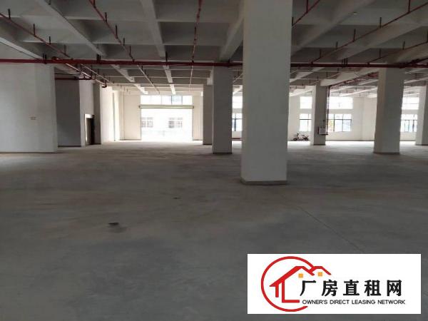  黄江镇独院分租标准厂房一楼6.5米高1000平方出租