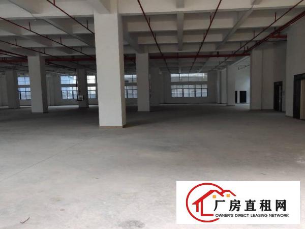  黄江镇独院分租标准厂房一楼6.5米高1000平方出租