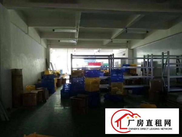  黄江星光新出原房东厂房分租三楼1500平方出租