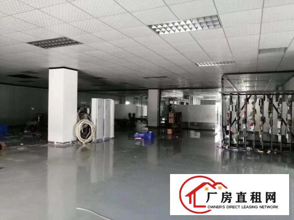  黄江星光新出原房东厂房分租三楼1500平方出租