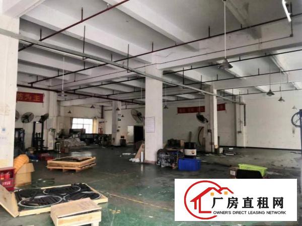  黄江镇北岸村标准一楼1000平方米厂房带精装修出租水电齐全