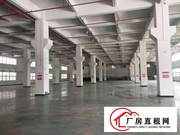  黄江镇高大上全新标准厂房25000平米出租