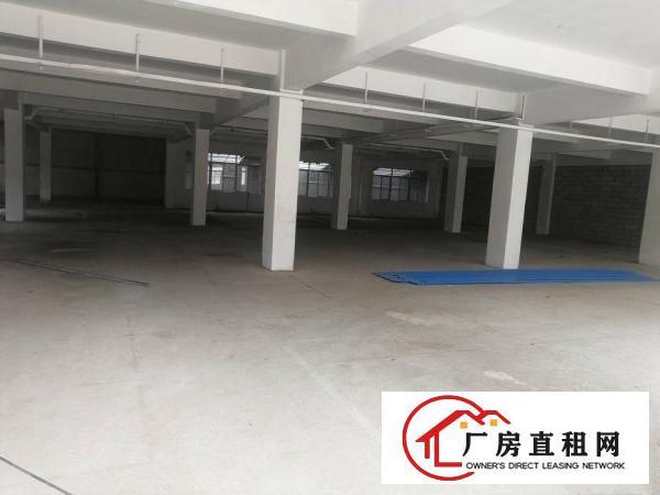  黄江镇中心标准一楼分租970平米