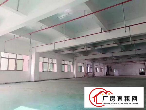  黄江社贝一楼700平精装可分租