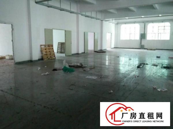  黄江新出性价比超高原房东独院5200平米