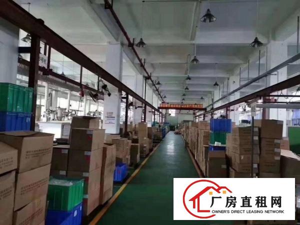  黄江镇大冚村原房东一楼2000平方米厂房出租可办环评带精装修