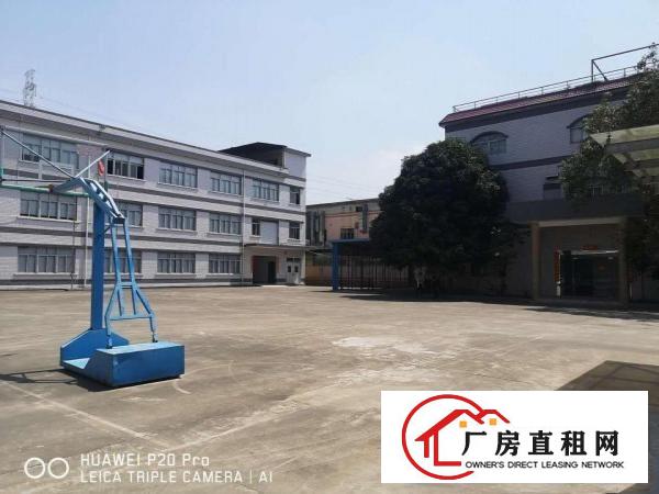  黄江镇原房东标准形象好空地大独门独院厂房出租总面积7000平
