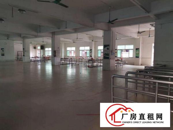  黄江田心新出独门独院单层重工业厂房43000平方出租