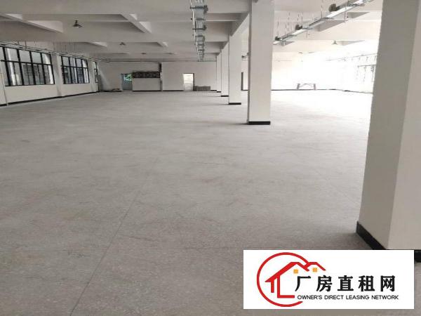  黄江镇原房东独门独院标准厂房三层7000平方出租