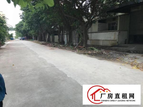  黄江北岸新空出2楼分租850平方，办公室装修，水电齐全