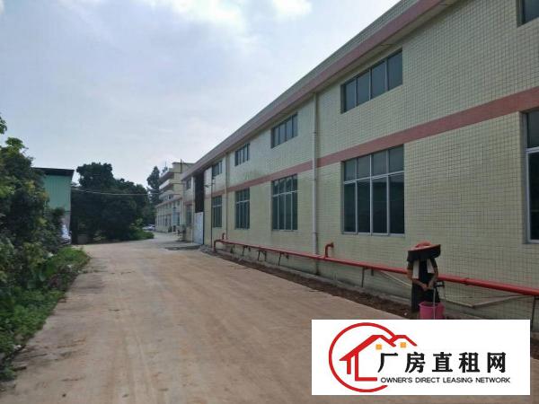  大朗镇靠黄江单一层砖墙到顶7米高厂房1500出租