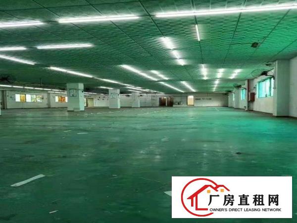  黄江镇村委会8000平方米独院厂房带精装修出租近高速可办环评