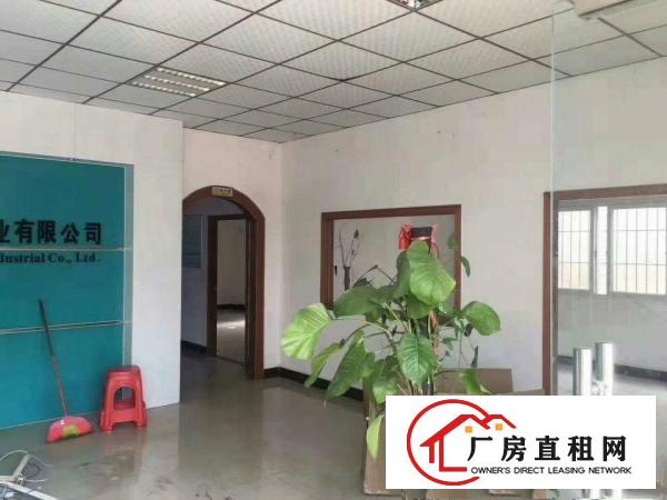  厂房出租！黄江新出原房东独院800平带办公室装修厂房
