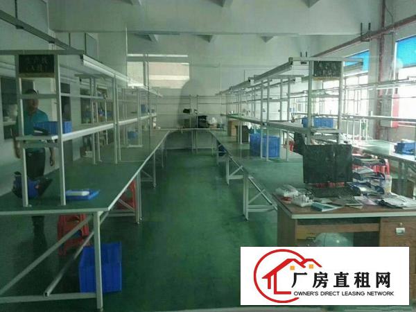  厂房出租！黄江新出原房东独院800平带办公室装修厂房