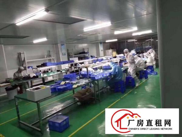  黄江镇北岸村工业园三楼带现成千级无尘车间1500平米火爆招租