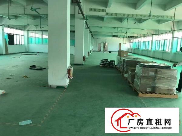  原房东独院3000平方米厂房出租田心村可办环评近高速带精装修
