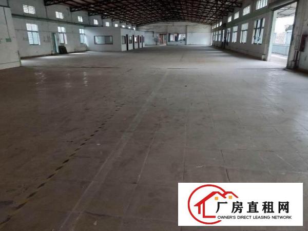  黄江黄京坑新出钢构2600平方米厂房出租