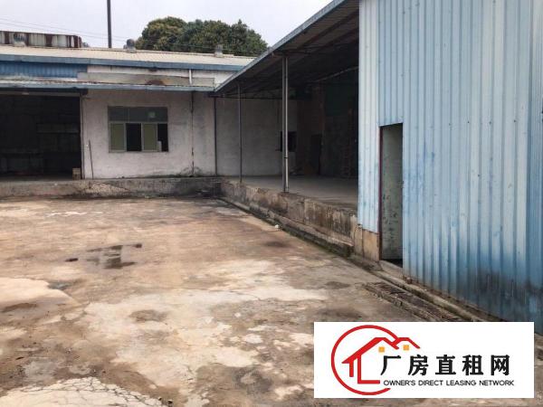  黄江镇星光村新出原房东钢构单一层1500平方