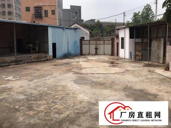  黄江镇星光村新出原房东钢构单一层1500平方
