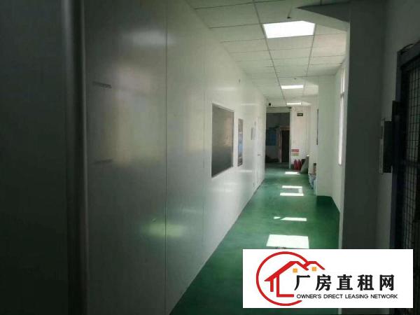  口罩客户电子客户的福音！高标准千级无尘车间1500平。