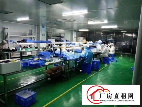  口罩客户电子客户的福音！高标准千级无尘车间1500平。