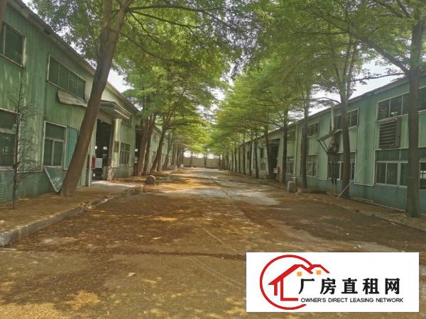  黄江原房东独院钢结构单一层厂房出租空地25000平硬化免费用