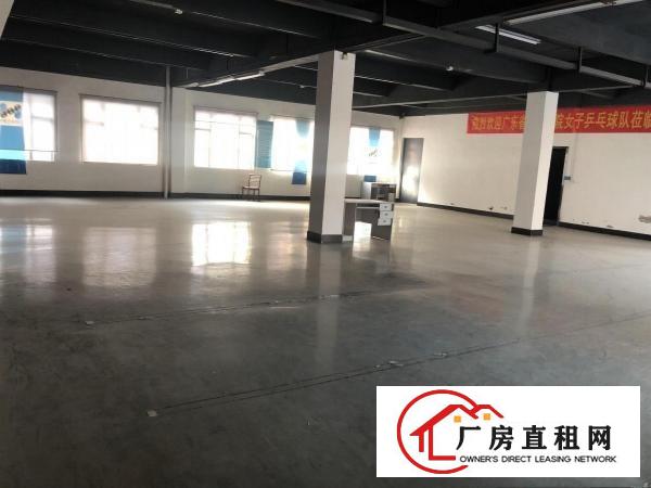  豪华装修独门独院！黄江新出厂房3层可分培训教育行业优先