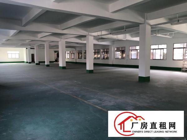  豪华装修独门独院！黄江新出厂房3层可分培训教育行业优先
