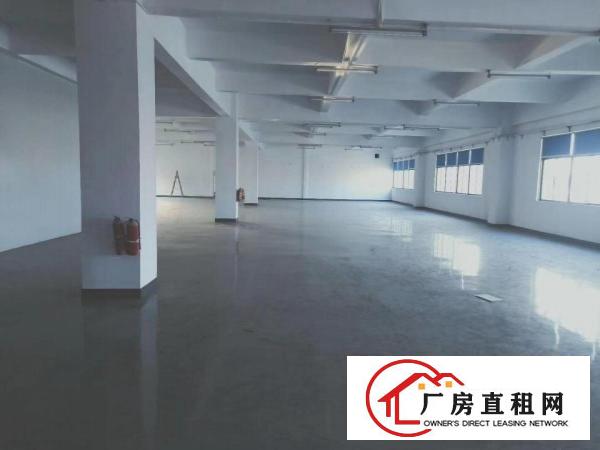  黄江镇高速出口原房东独院5000平方厂房出租工业用地可办环评