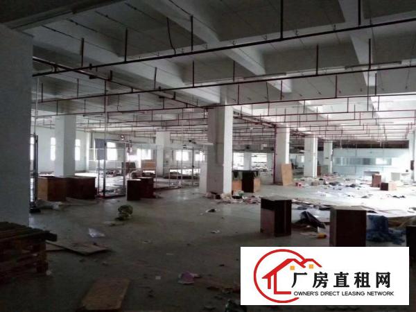  黄江刁朗新出工业区7500平方厂房出租