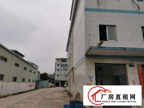  黄江镇鸡啼岗成熟工业园新出二楼600平方带装修办公室