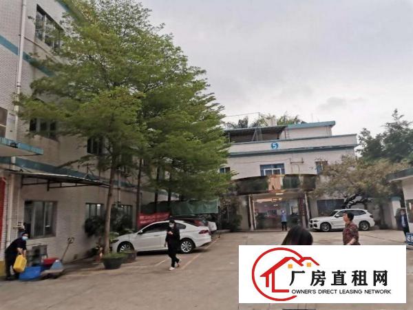  黄江镇鸡啼岗成熟工业园新出二楼600平方带装修办公室