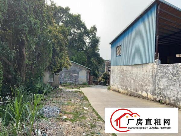  原房东无公摊，黄江镇中心板湖7米钢构2000平独院，价格实惠