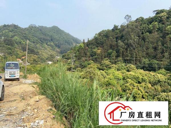  原房东无公摊，黄江镇中心板湖7米钢构2000平独院，价格实惠