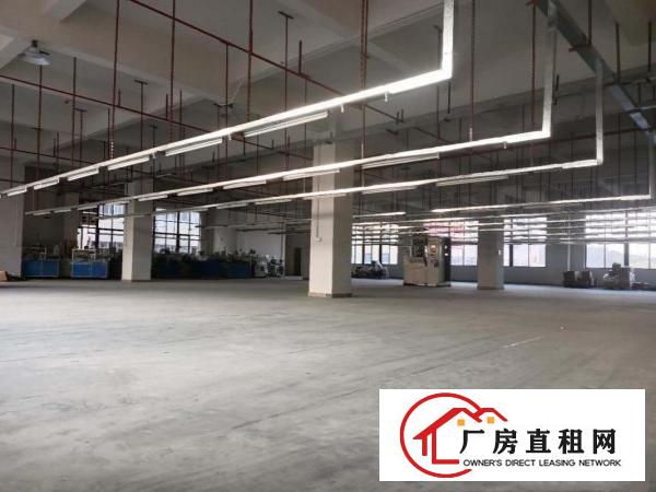  黄江镇带装修五楼分租1450平方空地大工业用地