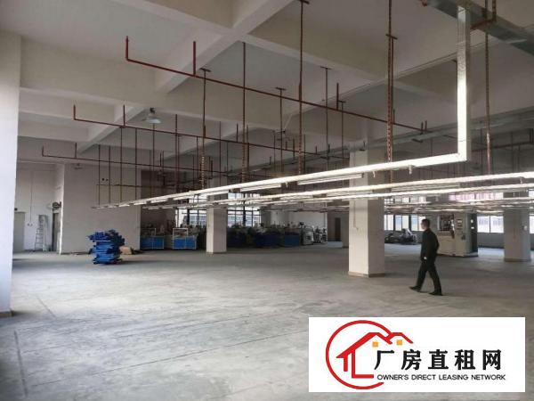  黄江镇带装修五楼分租1450平方空地大工业用地