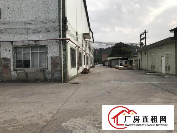  黄江镇靠山边钢构12米高厂房出租，空地大，