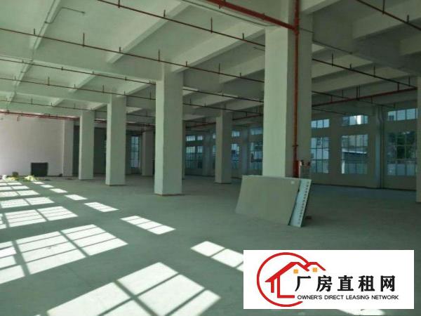  石潭埔一楼1600平原房东精装修厂房出租