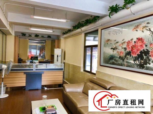  塘厦豪华办公室装修9米高钢构