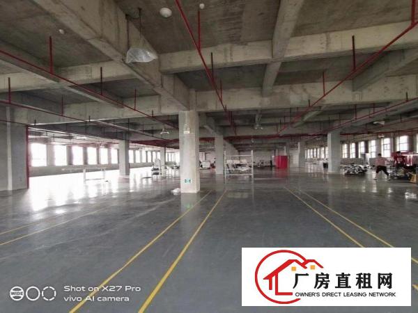  园区形象高端大气，空地超大！交通方便！