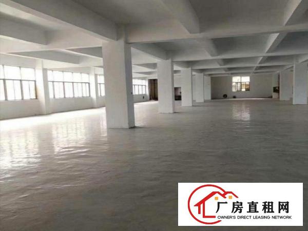  塘厦新出楼上原房东可办公厂房2800平，大小可分租。