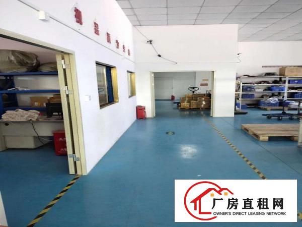  出租塘厦石鼓繁华正规厂房，可分租，从30平到300平都可以