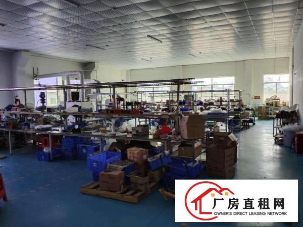  出租塘厦石鼓繁华正规厂房，可分租，从30平到300平都可以