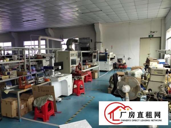  出租塘厦石鼓繁华正规厂房，可分租，从30平到300平都可以
