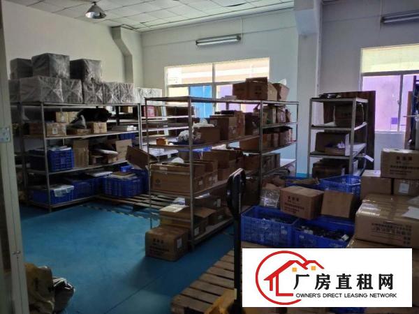  出租塘厦石鼓繁华正规厂房，可分租，从30平到300平都可以