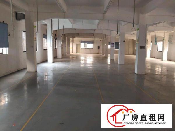  塘厦东深二路旁惊现超靓独院厂房