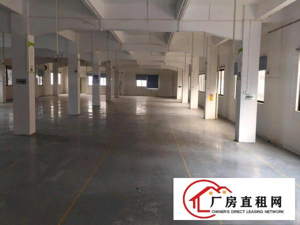  塘厦东深二路旁惊现超靓独院厂房