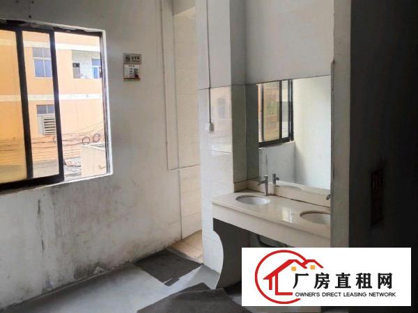  塘厦东深二路旁惊现超靓独院厂房